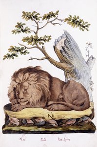 Leão, 1794 de Austrian School