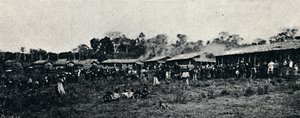 Colonia Italiana Fazenda Arindiuba, 1895
