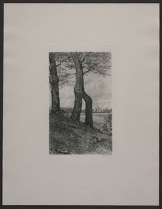 Dinamarquês: A zona em redor de Fredensborg de Axel Holm