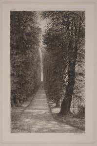 Avenida dos suspiros