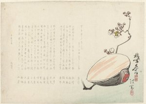 Esquema de Ayaoka Yûshin