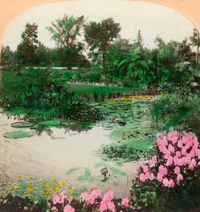 Lily Pond, Tower Grove Park, St. Louis, Missouri, EUA, 1897.