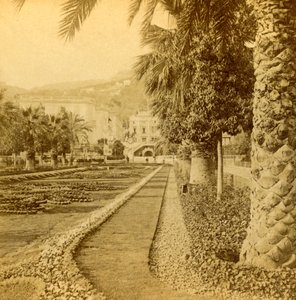Monte Carlo, olhando do cassino, 1897.
