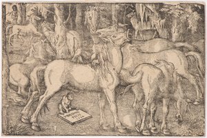 Grupo de Sete Cavalos, 1534. de Baldung