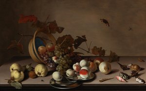Natureza morta de frutas com cesto de vime, mexilhões e borboleta, primeira metade do século XVII. de Balthasar van der Ast