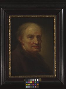 Cabeça de um homem velho (óleo sobre madeira) de Balthasar Denner