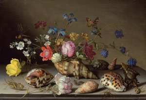 Flores, conchas e insetos em uma borda de pedra