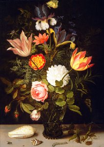 Ainda vida de flores em um Roemer com duas conchas
