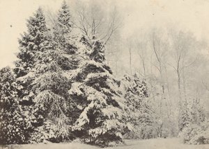 Paysage de sapins sous la neige de Baron A. Fays