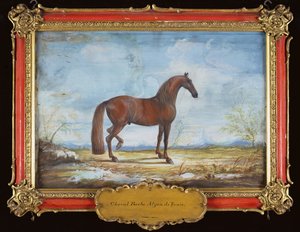 No. 2 Alzan de Tunis, um cavalo Barbary da Escola Espanhola de Equitação (wc no papel)