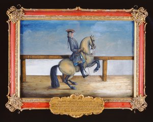 No. 45 Um cavalo da Escola de Equitação Espanhola que executa um movimento de adestramento chamado o Courbette (wc em papel)