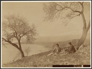 Amêndoas em flor, Taormina de Baron Wilhelm von Gloeden