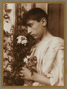 Rapaz siciliano de Baron Wilhelm von Gloeden