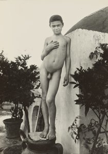 [Standing nude]. de Baron Wilhelm von Gloeden