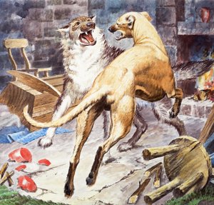 Gelert corajoso