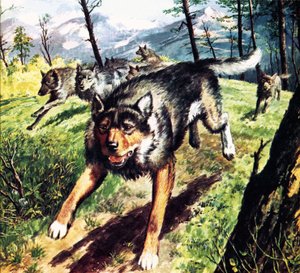 The Call of the Wild, baseado no romance de Jack London