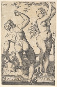 Apollo e Daphne cópia reversa.