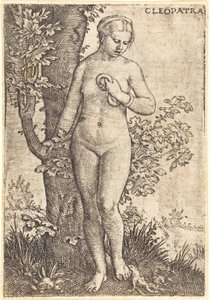 Cleópatra de Barthel Beham