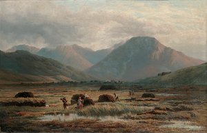 Turfa Bog, Letterfrack, Connemara de Bartholomew Colles Watkins