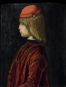 Retrato de Guidubaldo da Montefeltro, c.1480-81 (óleo sobre painel) de Bartolomeo (attr. to) Della Gatta