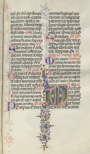 Missale: Fol. 260: Folhagem com Frutas, 1469.