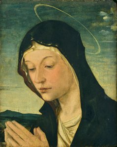 Cabeça e mãos de uma Madona adoradora (Fragmento), c.1477-78 (têmpera sobre madeira de choupo) de Bartolomeo Montagna