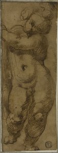 Putto em pé visto de frente: estudo para a Virgem na Glória com os Santos Petrônio, Domingos e Pedro Mártir de Bartolomeo Passarotti