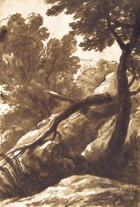 Paisagem arborizada de Bartolomeo Torregiani