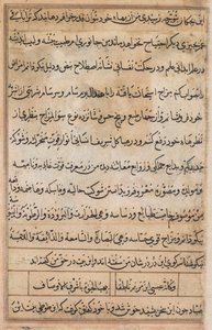 Página de Contos de um Papagaio Tuti-nama: página de texto, c. 1560. de Basavana