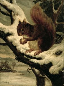 Um esquilo vermelho a comer uma noz (óleo sobre cartão) de Basil Bradley
