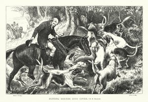 Colocação de cães de caça em cobertura (gravura)