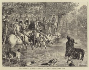Caça ao veado em Surrey, tomando o cervo, Shackleford Pond