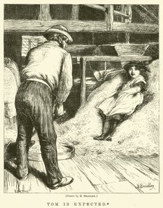 Tom é esperado de Basil Bradley