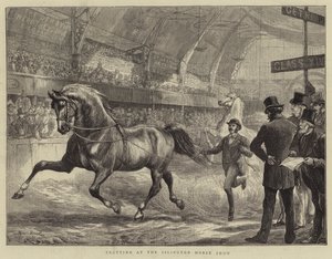 Trotar no Islington Horse Show de Basil Bradley