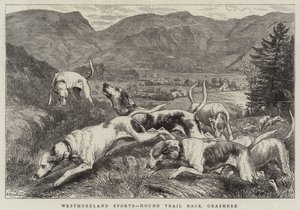 Esportes de Westmoreland, raça experimental do cão de caça, Grasmere de Basil Bradley