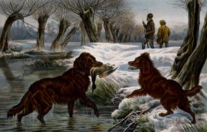 Caça ao pato selvagem de Basil Bradley