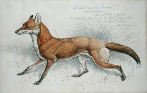 Um distinto General de Basil J. Nightingale