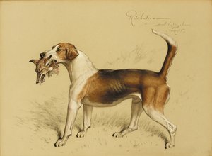 Retribuição de Basil J. Nightingale