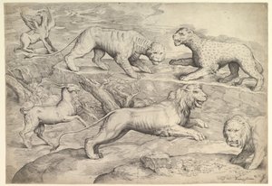 Seis animais, incluindo leões, um tigre, um leopardo, um grifo e uma cabra, ca. 1530-61.