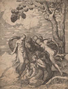 A descoberta de Moisés, década de 1540. de Battista del Moro