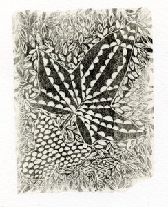 Ivy, 2014, (gravura em madeira sobre papel) de Bella Larsson