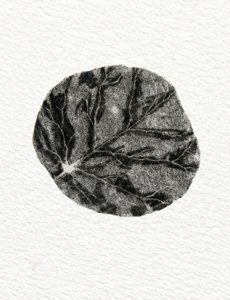 Folha, 2014, (gravura em madeira sobre papel) de Bella Larsson