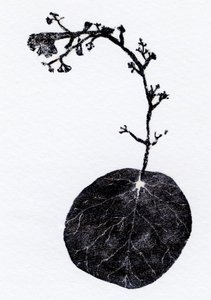 Lichen Leaf, 2014 (xilogravura, colagem sobre papel) de Bella Larsson