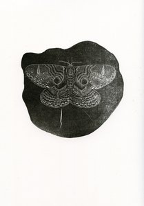 Borboleta da noite, 2016, (gravura em madeira sobre papel)