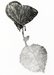 Suspense, 2014 (Gravação em madeira, colagem sobre papel) de Bella Larsson