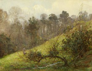 Gansos e gansinhos de Benjamin Haughton