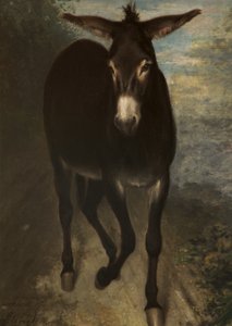 Um burro siciliano