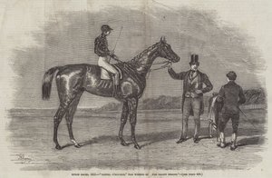 Epsom Races, 1852, Daniel O&39;Rourke, o vencedor do The Derby Stakes
