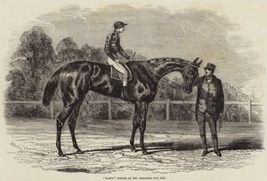 Nancy, vencedora do Goodwood Cup, 1851