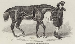 O cavalo do duque, liderado por seu noivo de Benjamin Herring